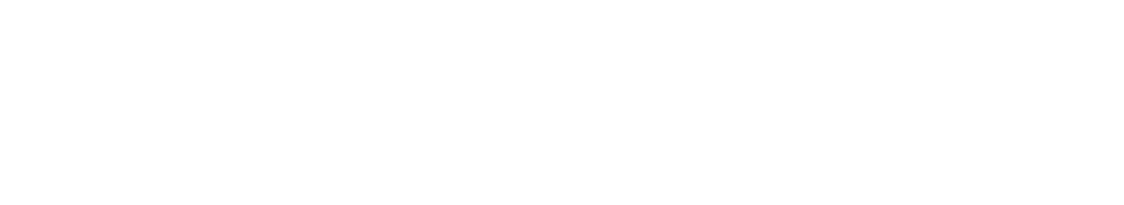Simular